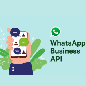 cheapest whatsapp Api india