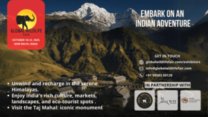 How To Promote Eco-Tourism In Indian