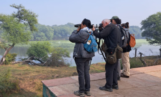 Delhi Earth Walks