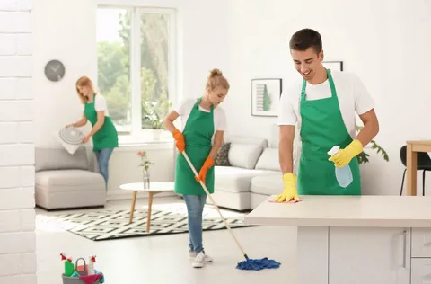 expert house cleaning services