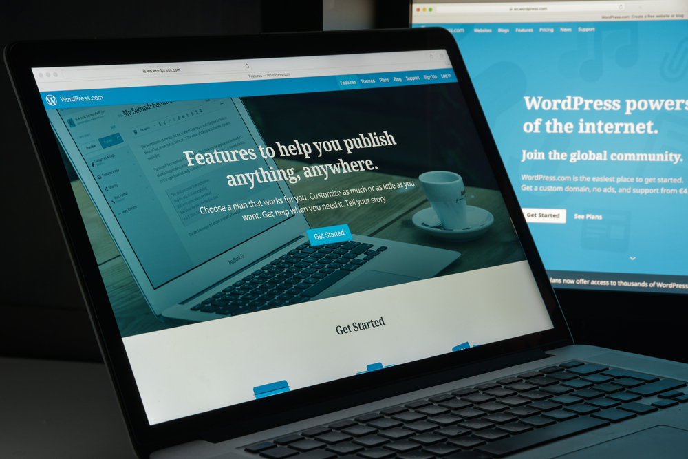 custom CMS Development