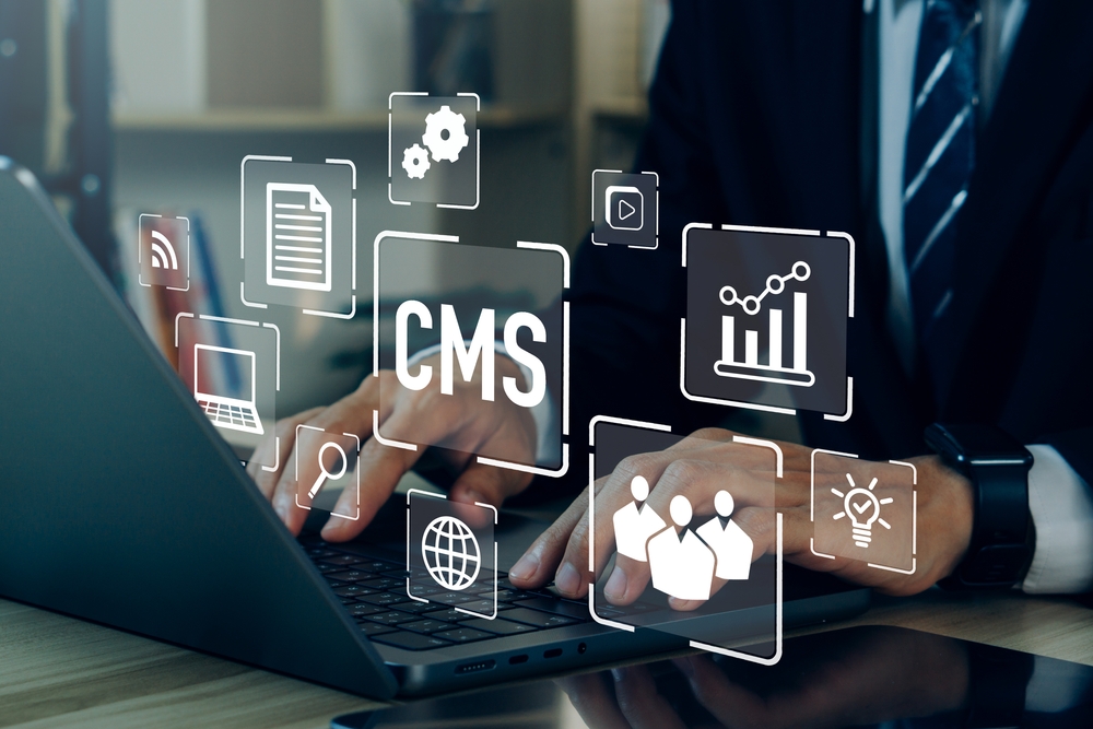 custom CMS development
