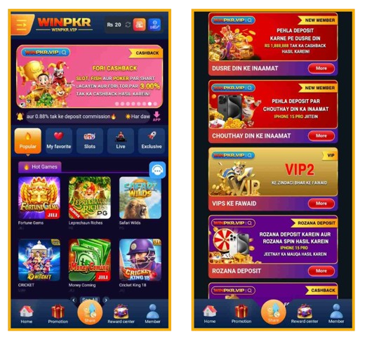 Download WINPKR VIP APK