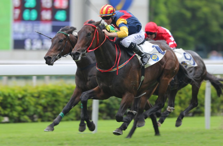 Gold365: A Comprehensive Guide to the Online Betting Platform