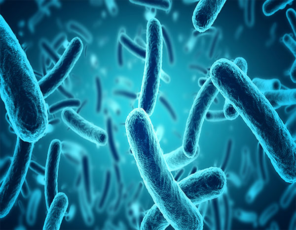 Vermact 6mg Tablet: A Powerful Remedy Against Parasitic Infections