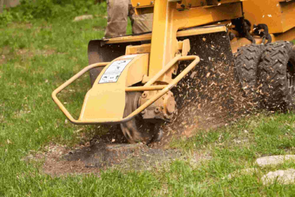 stump grinding