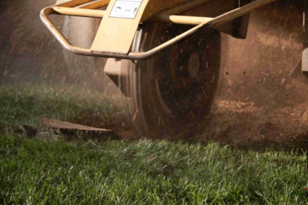 stump grinding
