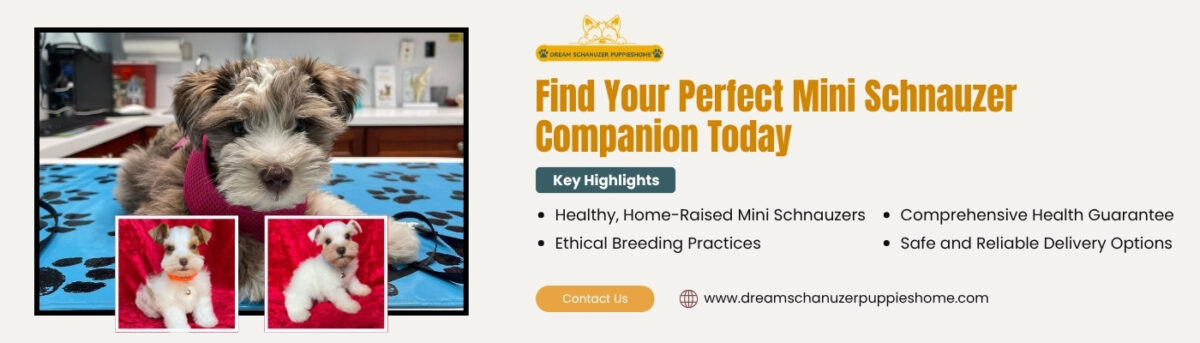 Pet Shipping Prices