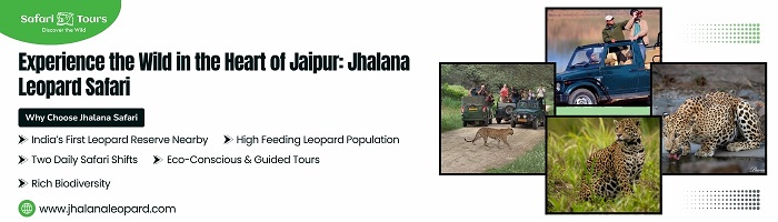Jhalana Leopard Safari