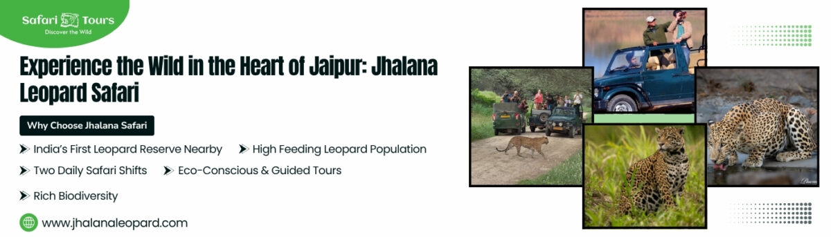 Jhalana Leopard Safari Tour Packages