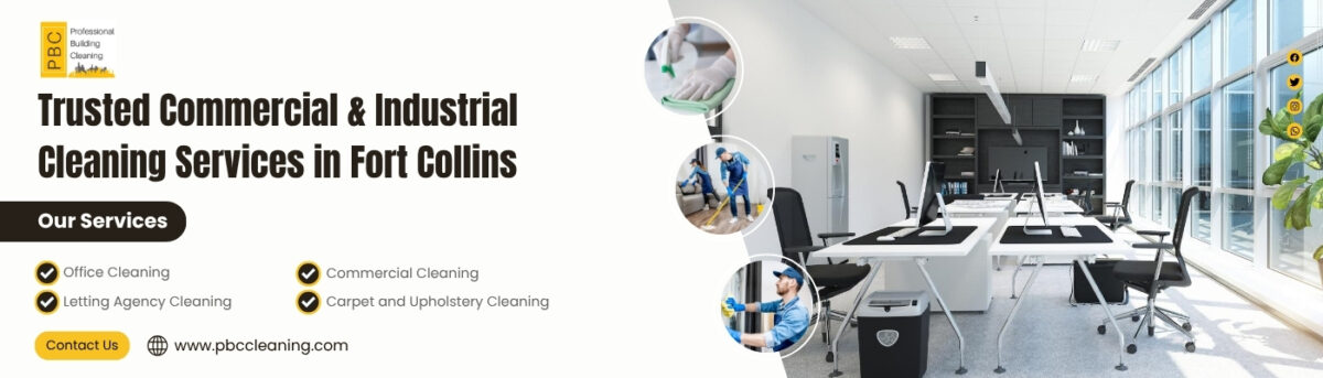 Professional Apartment Cleaning