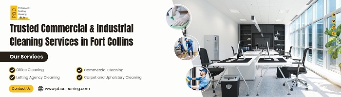 Cleaning Services for Apartments