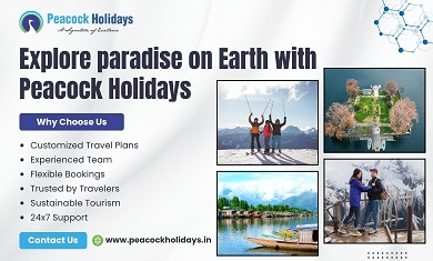 Kashmir Honeymoon Packages