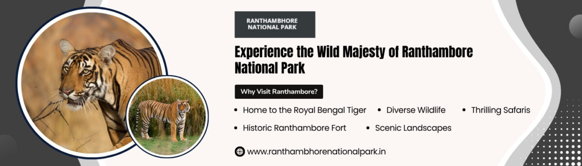 Ranthambore Tiger Reserve Safari Park