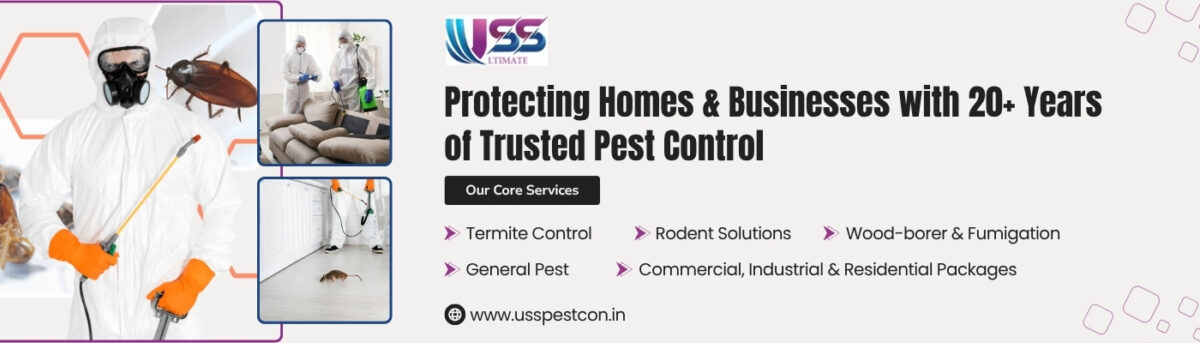 Pest Control Service in Jaipur