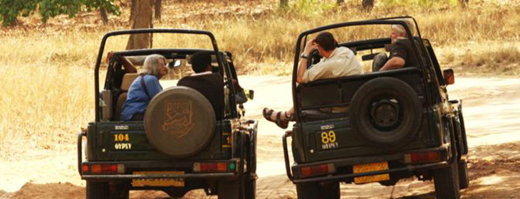 Ranthambore wildlife tour packages 