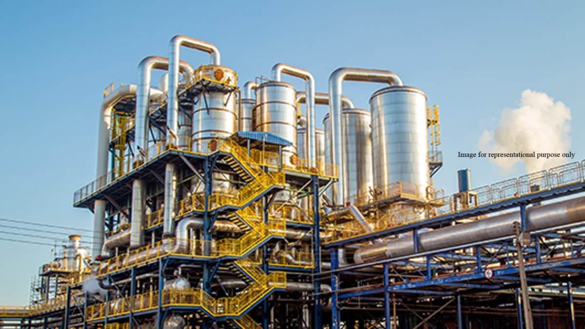 Industrial Enzymes Manufacturing Plant
