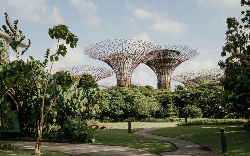 singapore