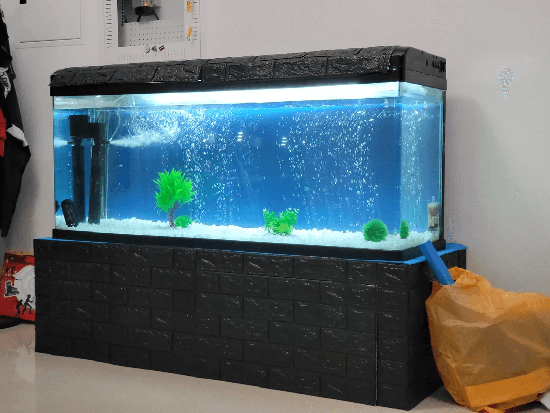 100 gallon fish tank