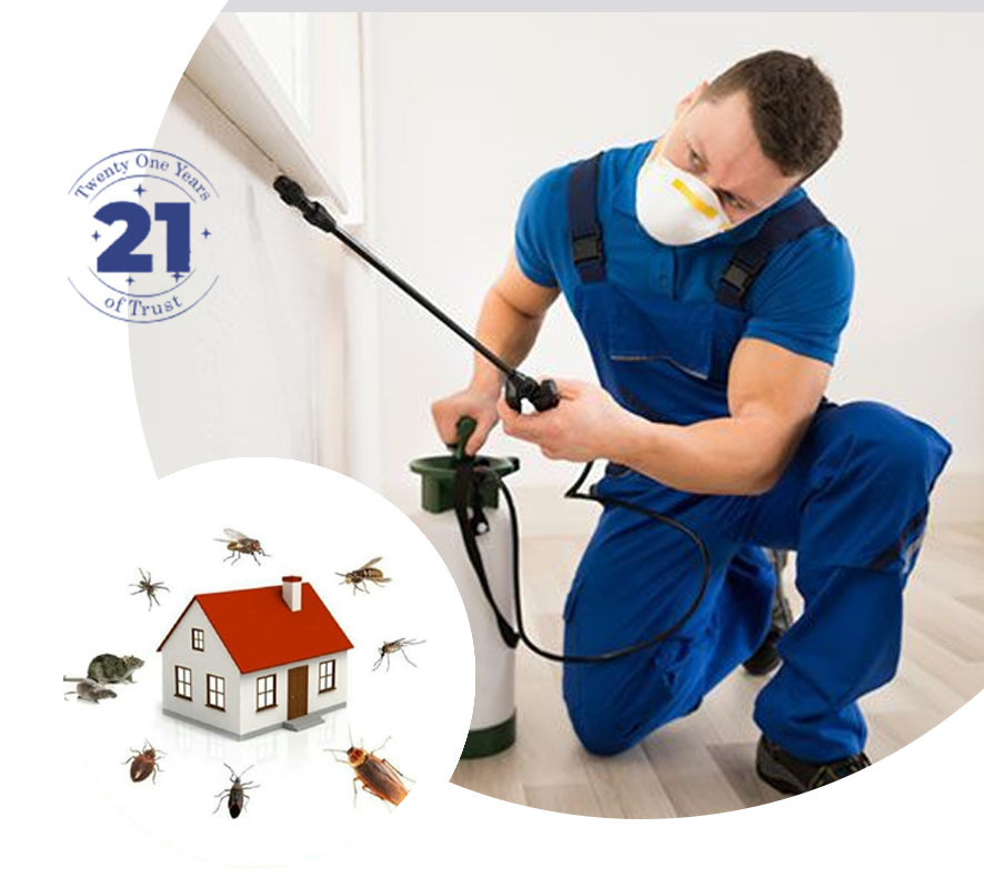 Bedbugs Control in Kolkata