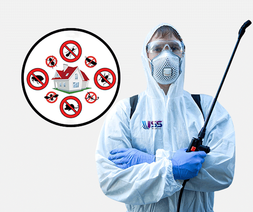 Bedbugs Control in Kolkata