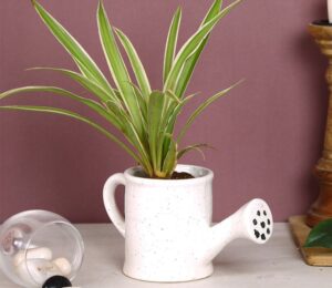 home decor from wooden street