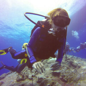 Beginner’s Guide to Joining a Scuba Diving Course in Sharm El Sheikh