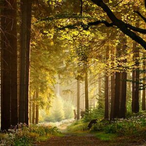 German Fairy-Tale Routes