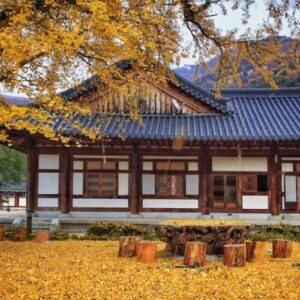 K-Drama filming sites