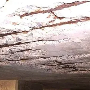 Roof Protection