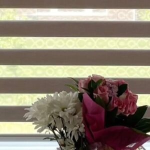 Zebra Blinds