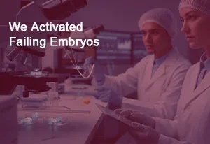 Fertility Hospital in Chennai