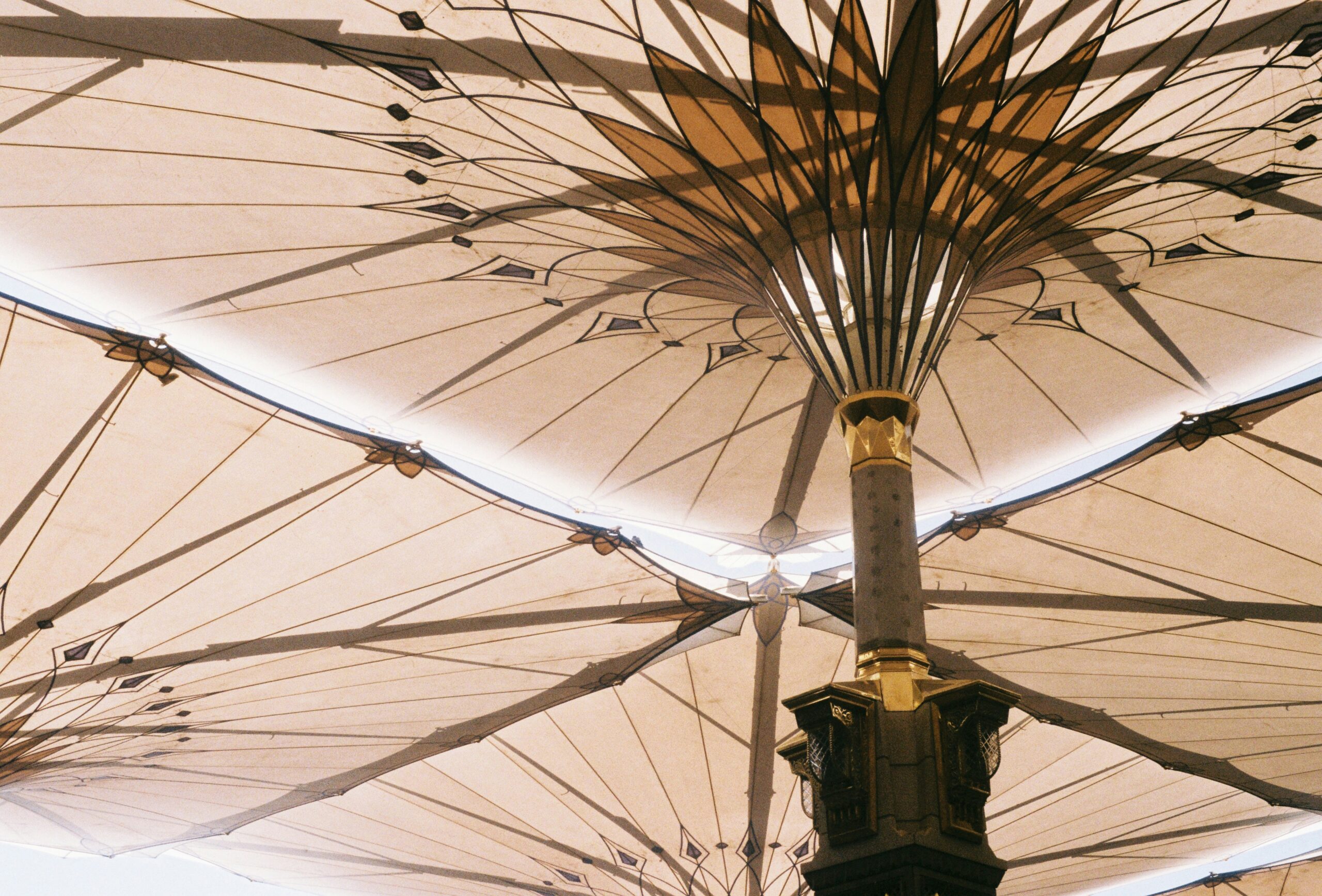 Book Trusted Umrah Packages for a Peaceful Pilgrimage