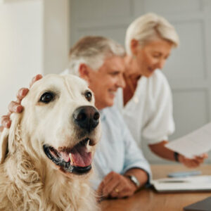 pet insurance quotes