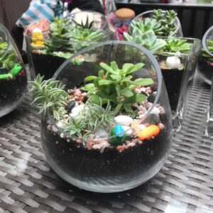 Terrarium Workshop Singapore