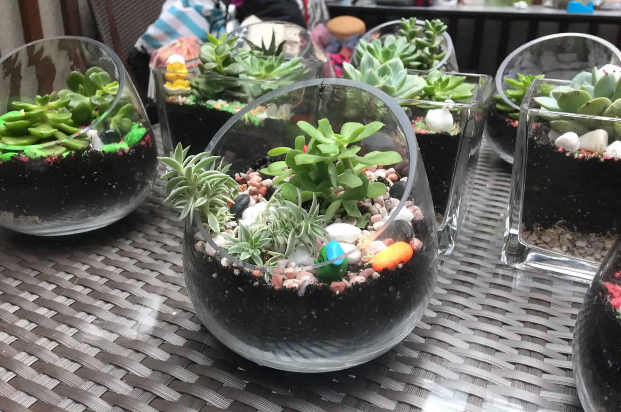 Terrarium Workshop Singapore