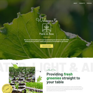 Best Seo Service in Kolkata