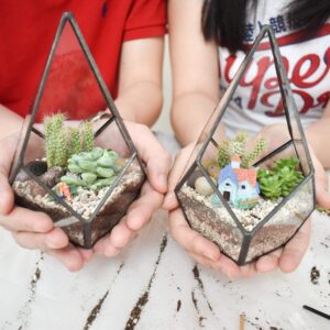 terrarium workshop singapore