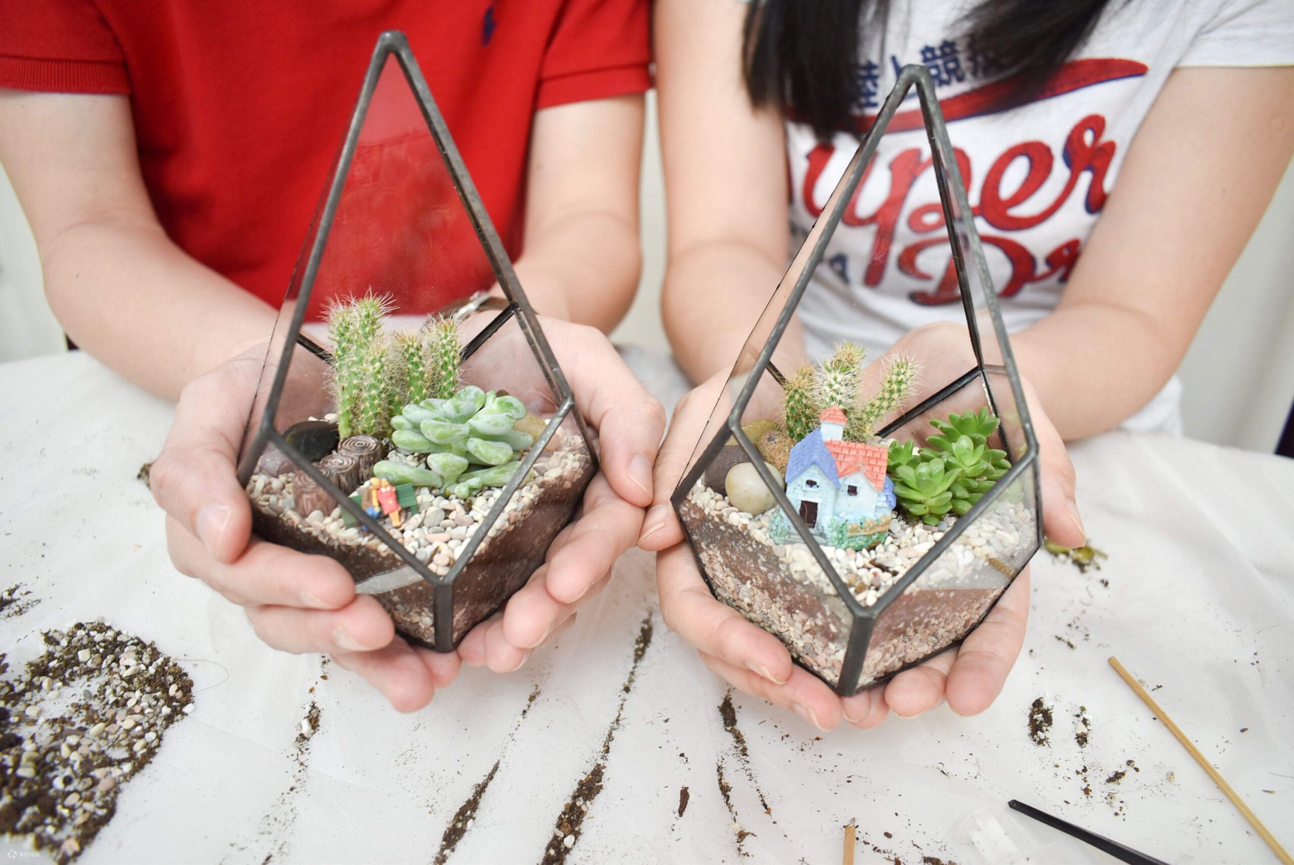 terrarium workshop singapore