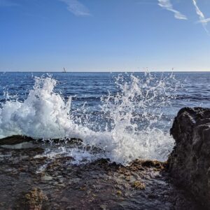 golden triangle tour with goa