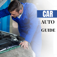 Auto Guide