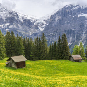 One Day Trip Places in Kerala