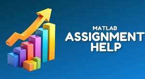 matlab assignment help Australia