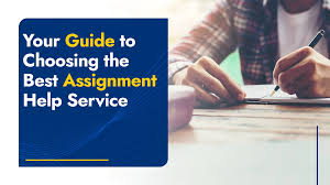 assignment writing expert