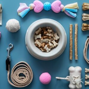 pet accessories for dogs