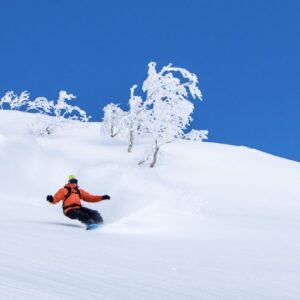 snowboarding tours japan