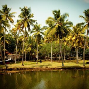 kerala tour packages