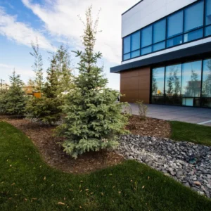 commercial landscape architect